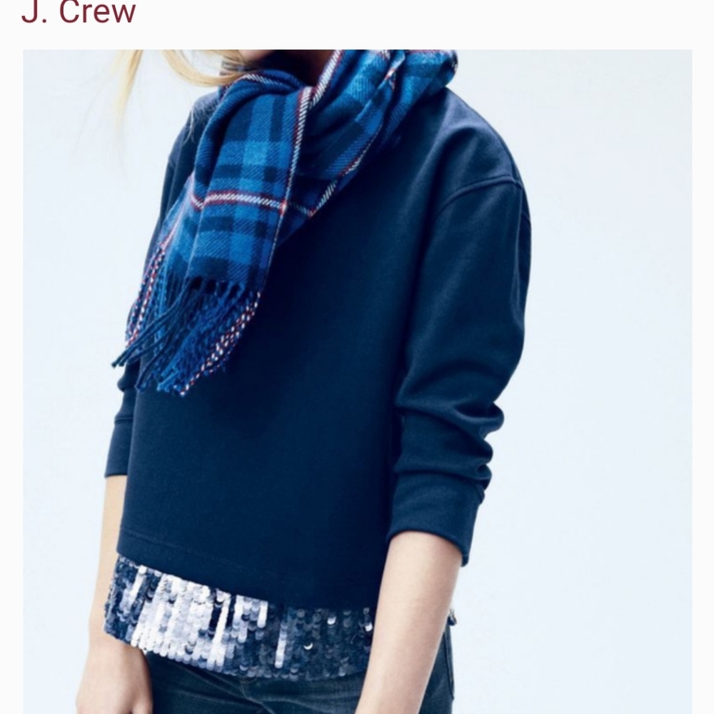 J Crew Sequin Trim Sweatshirt